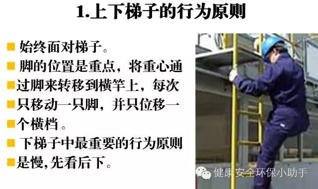 微信图片_20180803160502.jpg