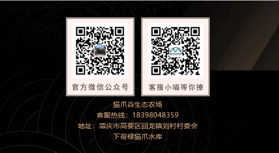 QQ图片20191207090055.png